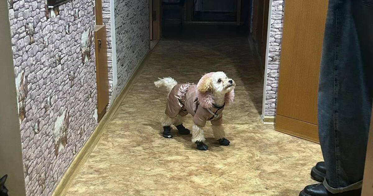 Общественный деятель Вадим Попов предложил ввес...