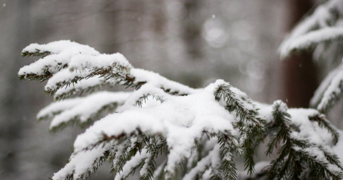 Арктическая стужа идёт в Самару: морозы до −28 ...