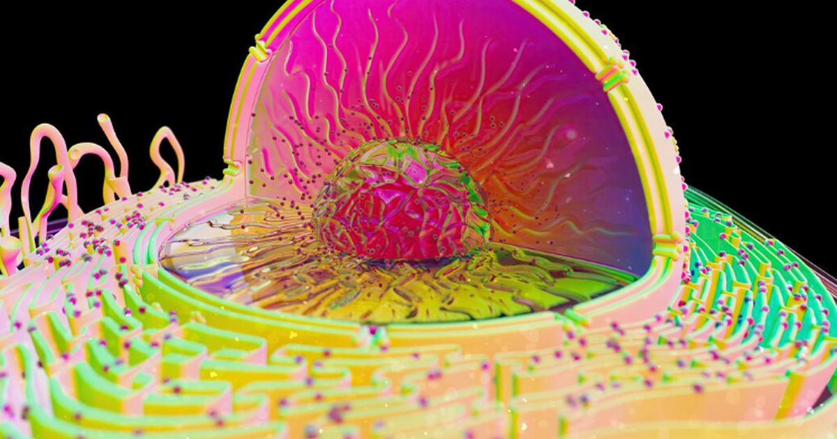 Учёные открыли новый способ «перезаряжать» стареющие человеческие клетки Новое исследование, опубликованное в PNAS, демо...