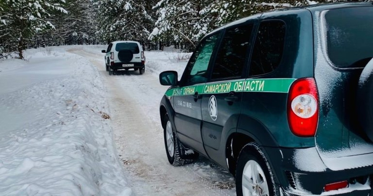 Операция «Ель»: 32 патруля и ГИБДД защищают леса Самарской области Операция будет проходить в течение декабря