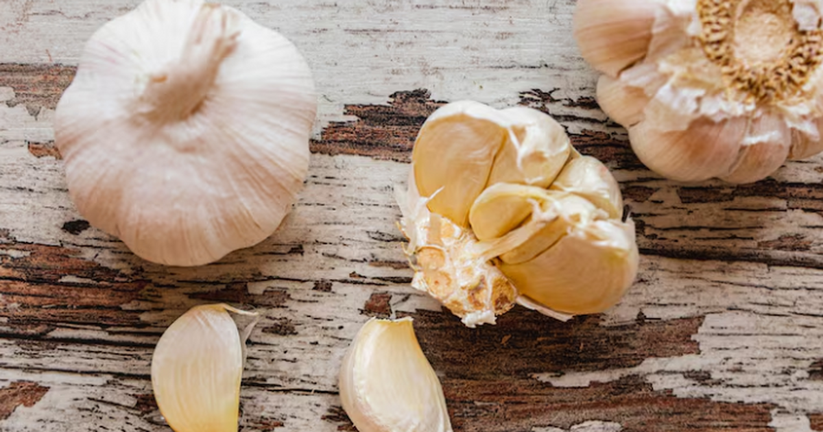Учёные: чеснок поддерживает сердце, иммунитет и защищает от воспаления Чеснок всё чаще рассматривают не только как при...