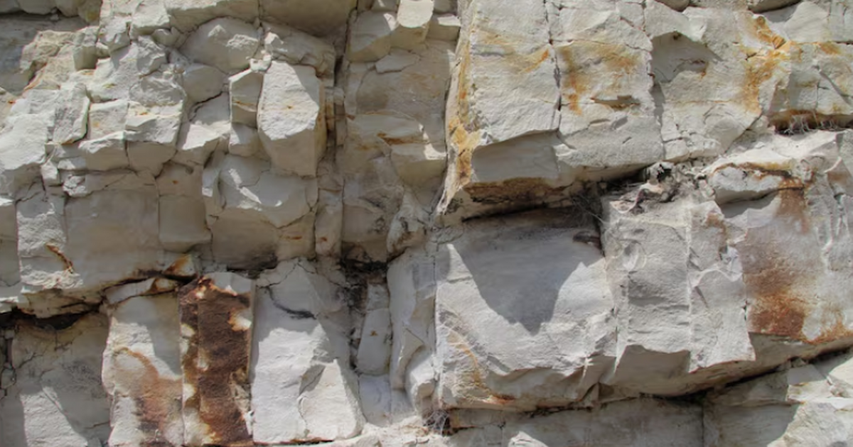 Учёные из Тюбингенского университета доказали, ...