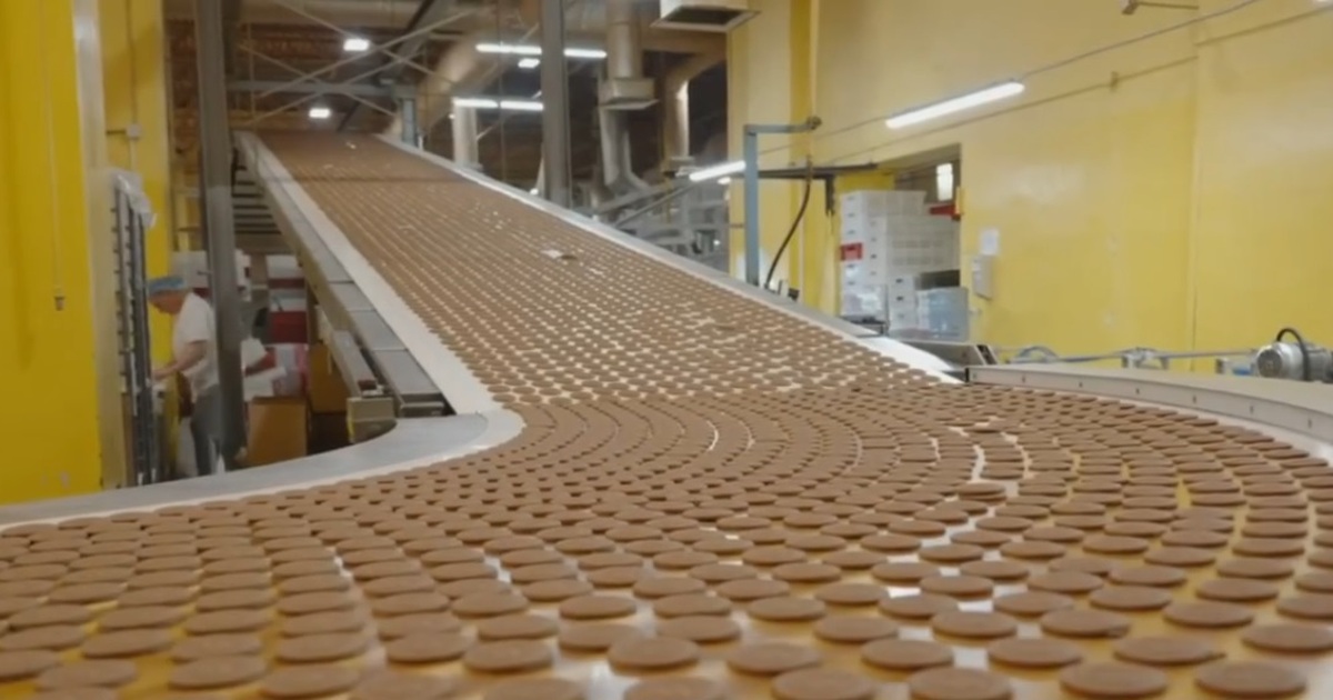 Предприятие производит около 1200 тонн продукци...