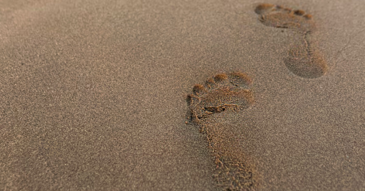 Группа археологов обнаружила следы древних люде...