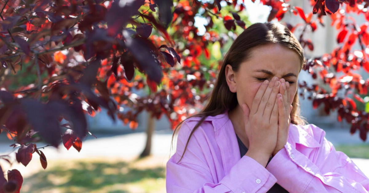 В Самарской области предложили перевести аллерг...