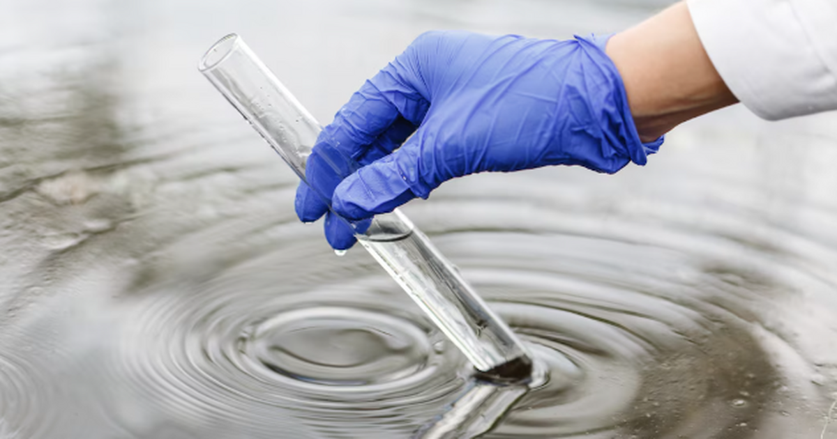 Тюменские учёные совместно с международной кома...