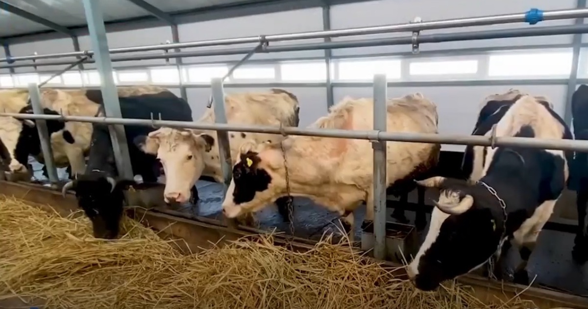 Открытие состоялось при помощи мер господдержки