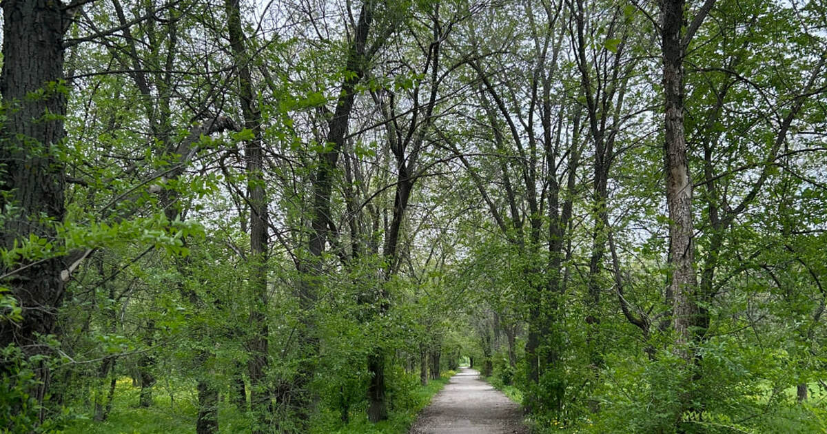 Самарский облсуд удовлетворил иск об исключении...