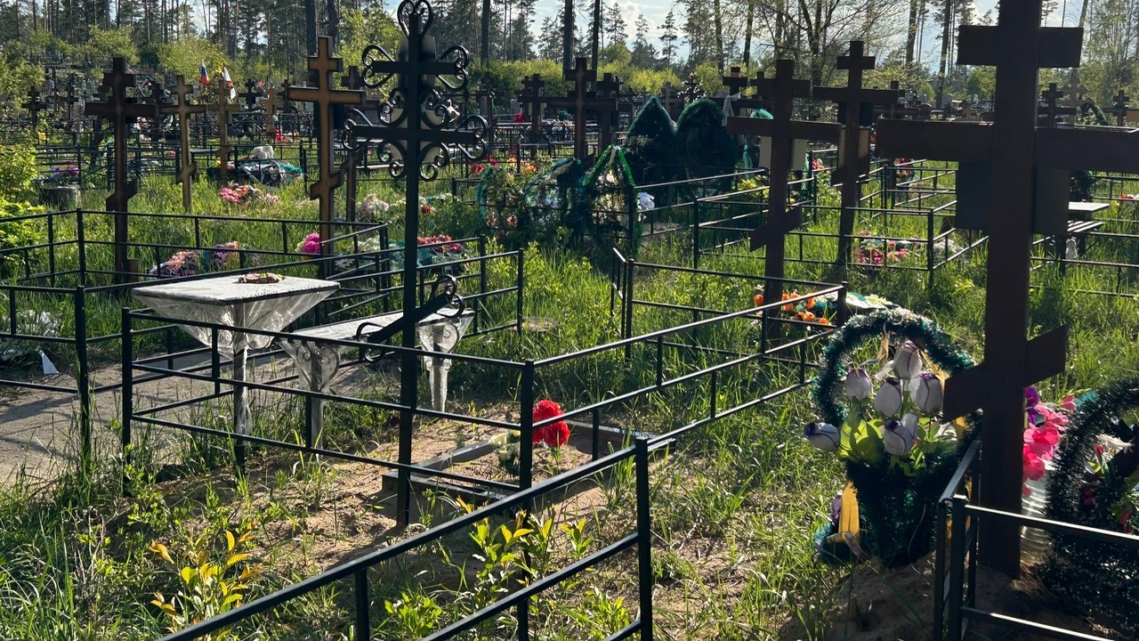 В Самаре подтопление на Кряжском кладбище будет устранено Ресурсоснабжающая организация окажет содействие...