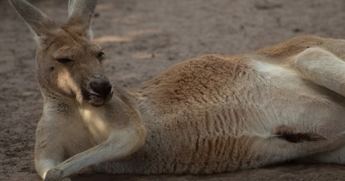 Генетическое исследование показало, что климати...