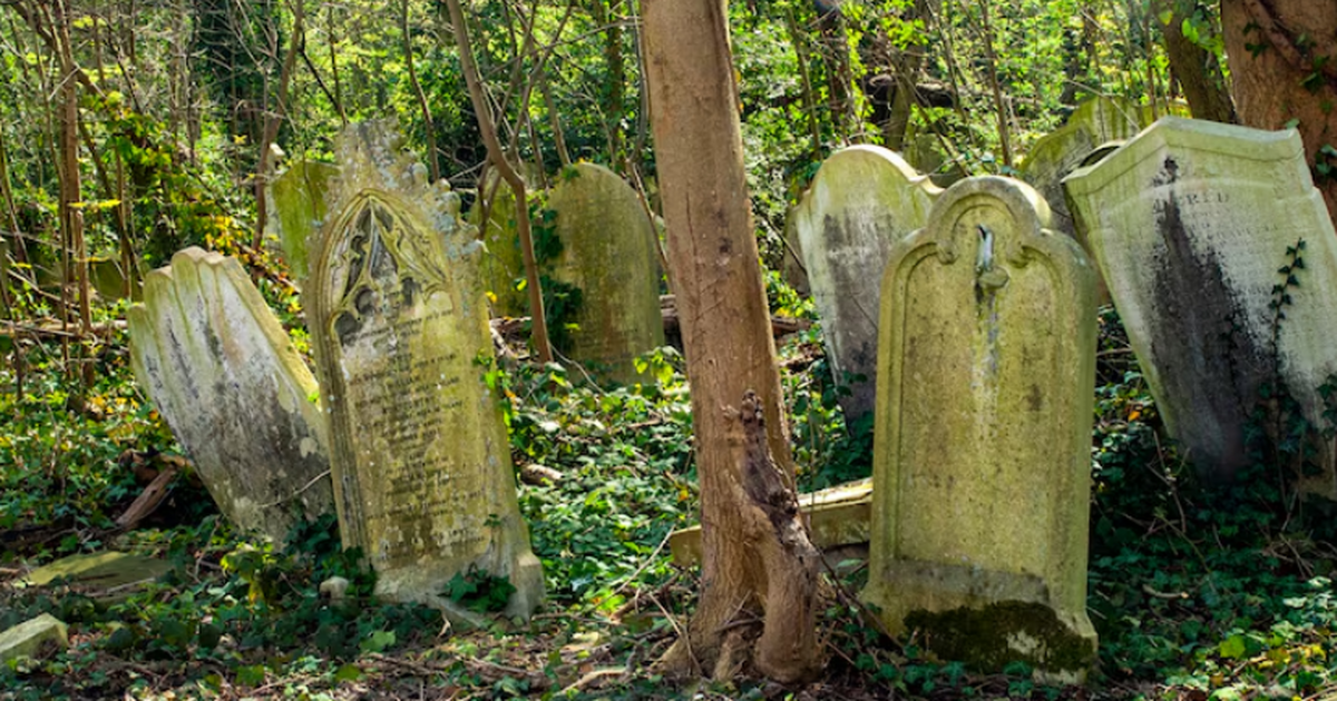 Исследование в Джераше показало сотни захоронен...