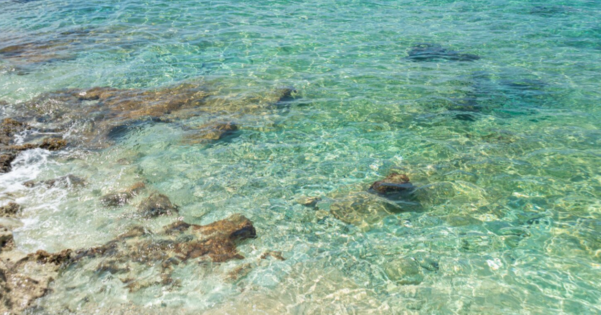 Саудовская Аравия развивает курорты на Красном ...