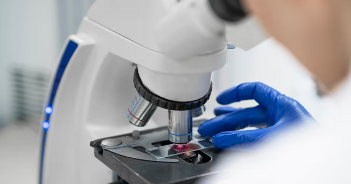 Ученые Томского политехнического университета м...