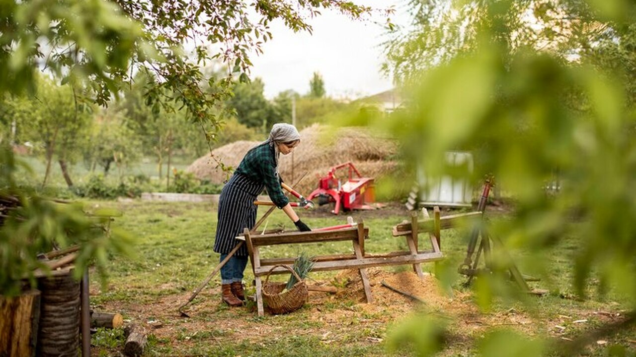 Если земельный участок не используется в течени...