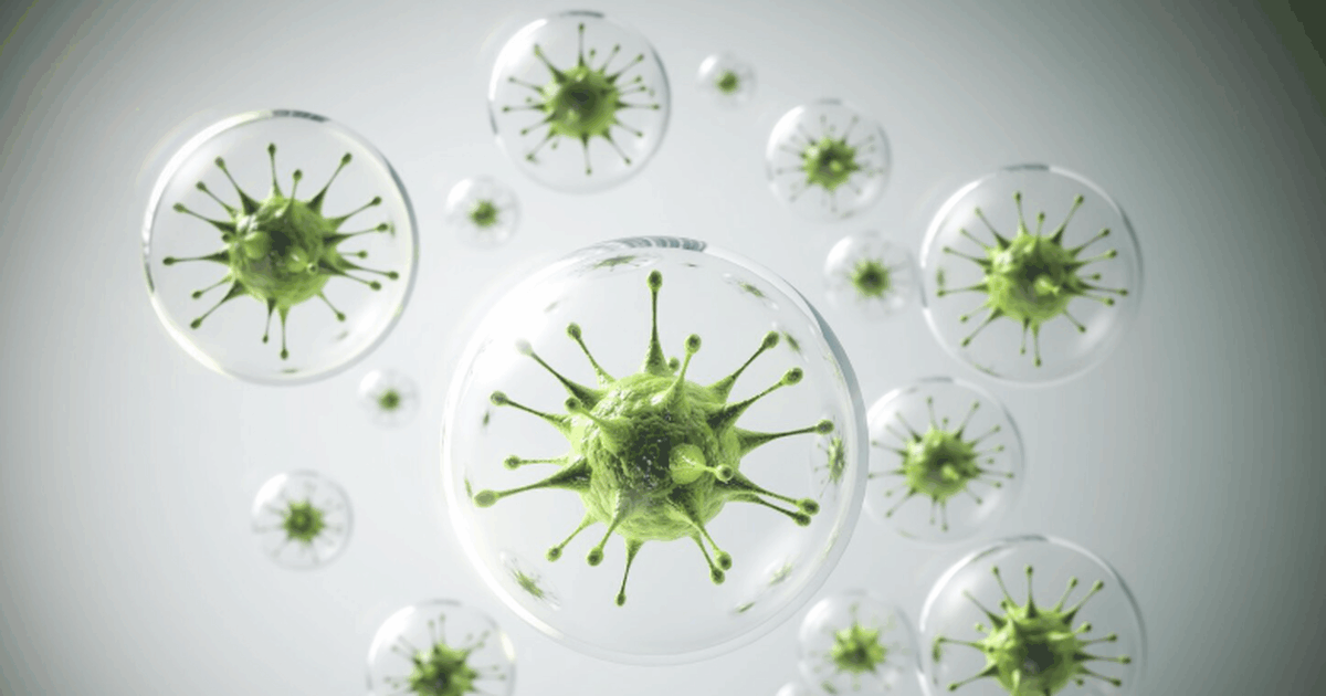 Ученый Мурад Шахмарданов сообщил, что вирус H5N...