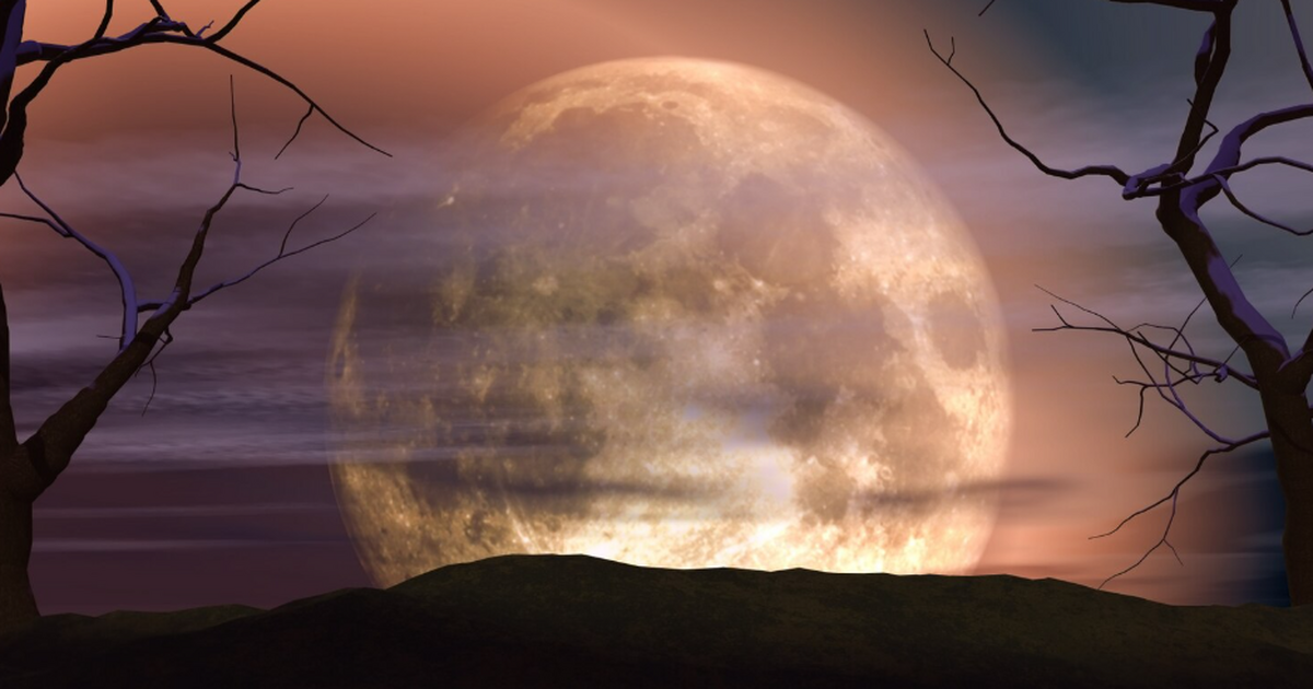 5 ноября россияне увидят «Бобровую Луну»: суперлуние будет ярче обычного на 16% 5 ноября 2025 года россияне увидят «Бобровую Лу...