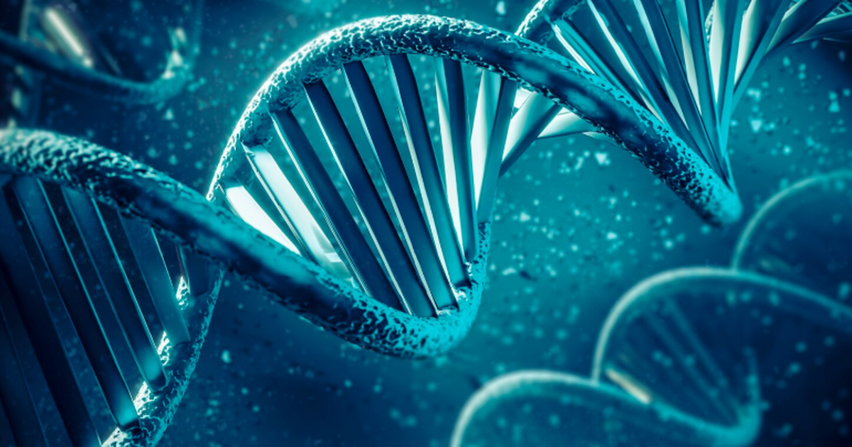 Прошло 20 лет после расшифровки генома: ученые показали 4D-структуру Более двадцати лет назад ученые завершили между...