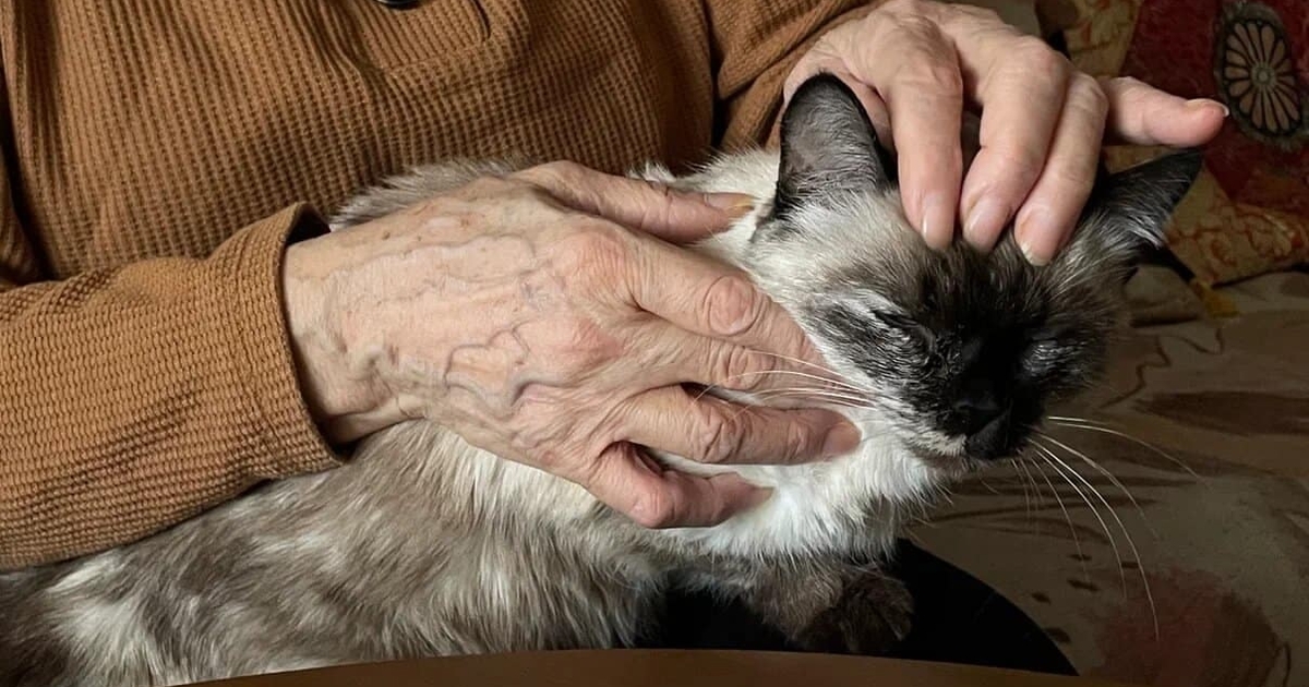 Госдума: при отсрочке пенсии на 10 лет её размер можно удвоить Размер страховой пенсии по старости зависит от ...