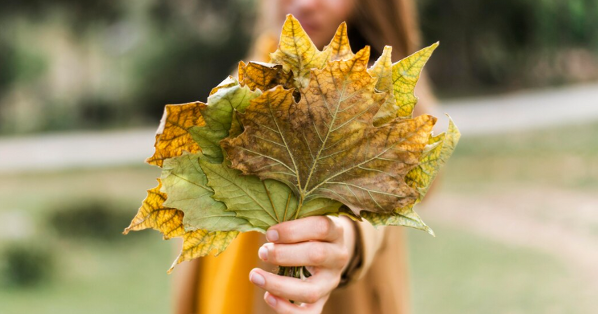 Ранняя весна и морозы до −20: что готовит погод...