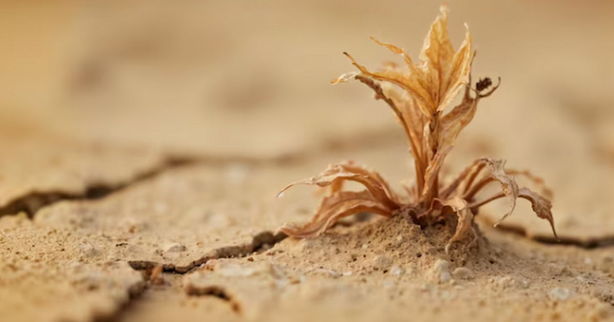 Каждый год природные пожары приводят к потере о...