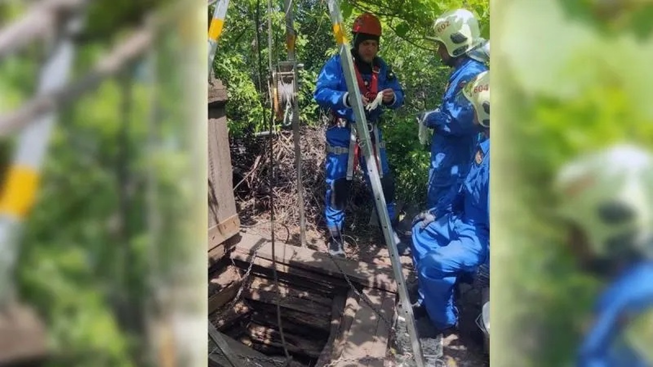 9 июня в Самарской области 72-летний мужчина утонул в колодце на даче Для того, чтобы поднять тело погибшего, привлек...