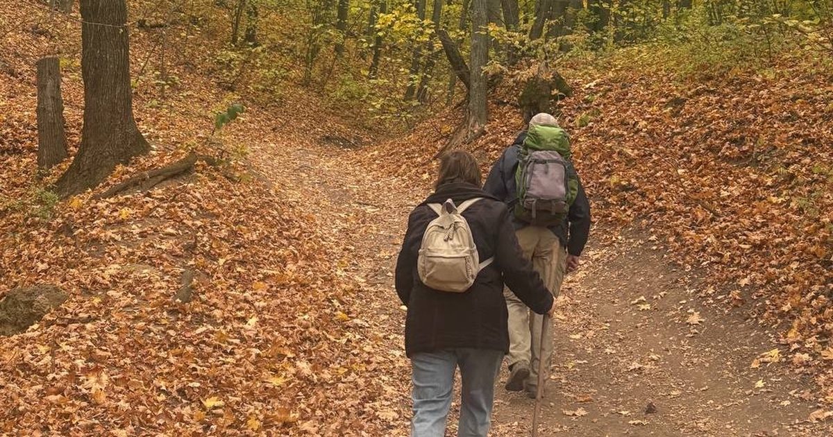 Новые таблички-указатели появились в красноглинском лесу в Самаре В Красноглинском лесу Самары установили новую с...