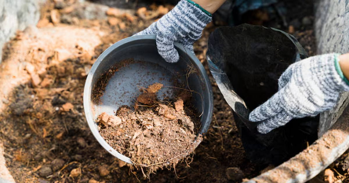Компост есть почти у каждого дачника, но у мног...
