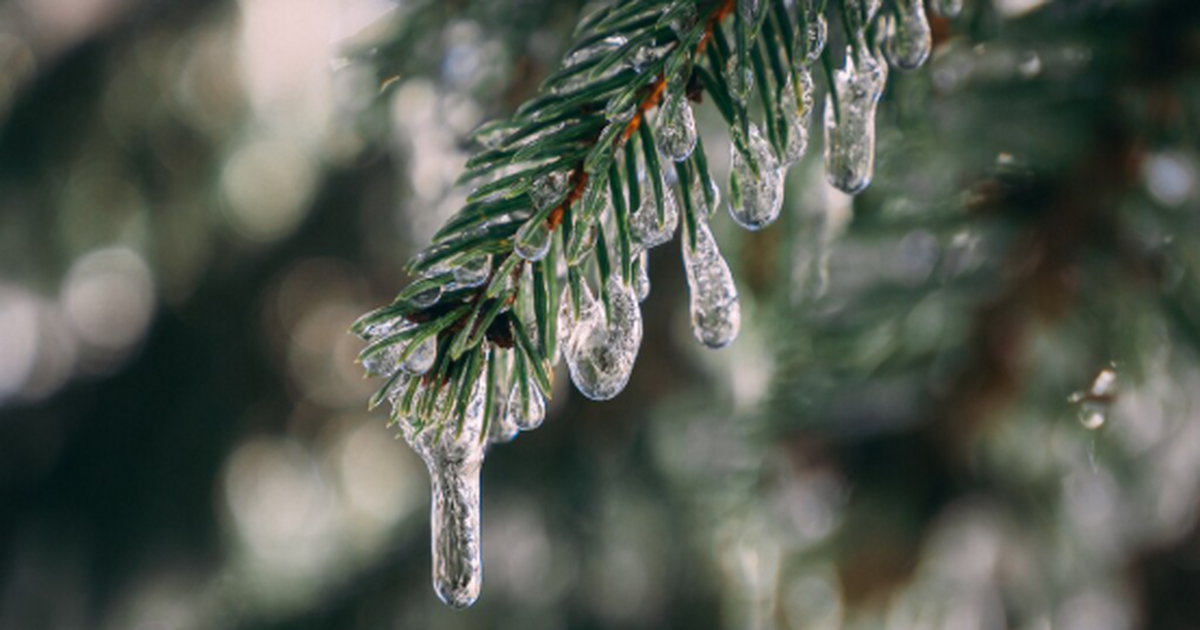 Глобальное потепление уже здесь, и его «почерк»...