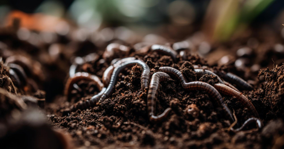 В США власти предупредили жителей о распростран...