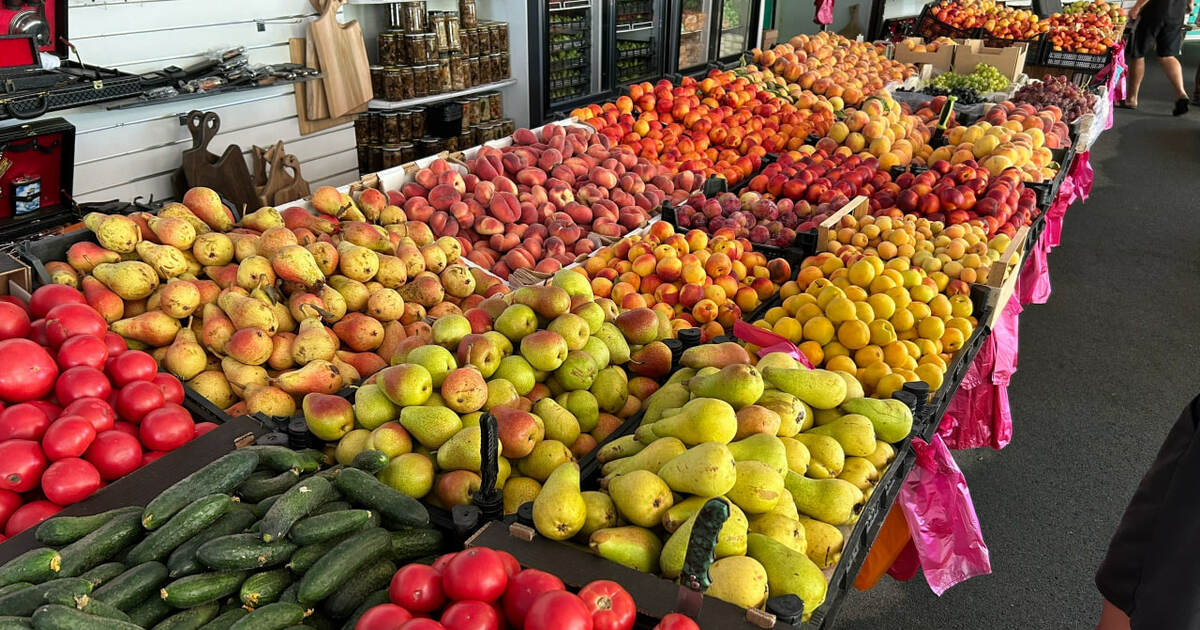 Опасный вирус Нипах может попасть в Россию через заражённые импортные фрукты Вирус Нипах с высокой смертностью переносится л...