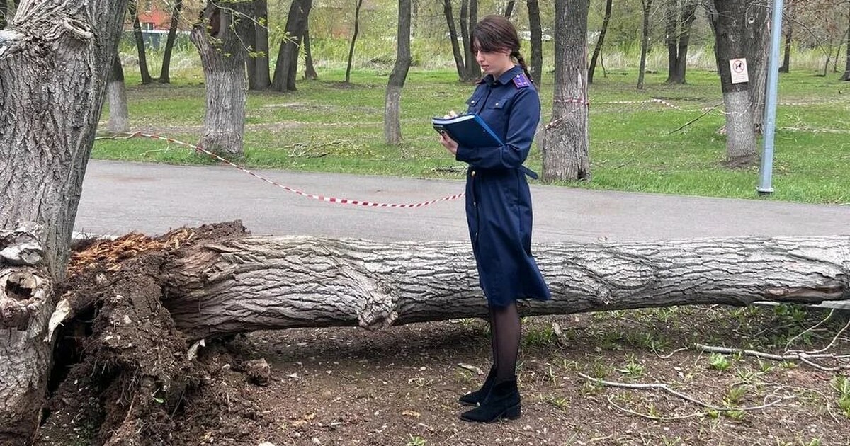 Трагический случай произошёл 27 апреля в парке ...
