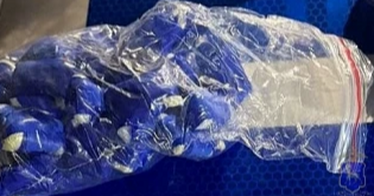 На трассе под Самарой полиция предотвратила масштабный сбыт наркотиков Задержан житель Оренбургской области со 117 гр ...