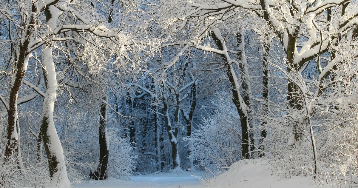 Таким образом, завершены многолетние судебные р...