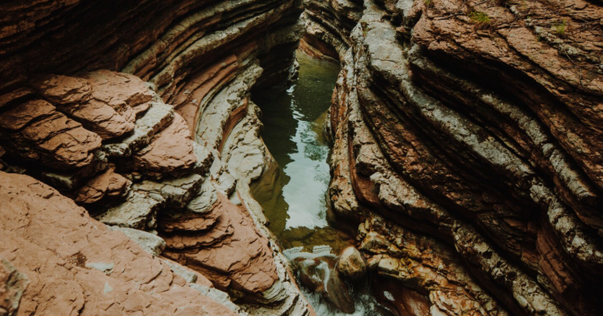 Российские ученые нашли ДНК трёх новых вирусов ...