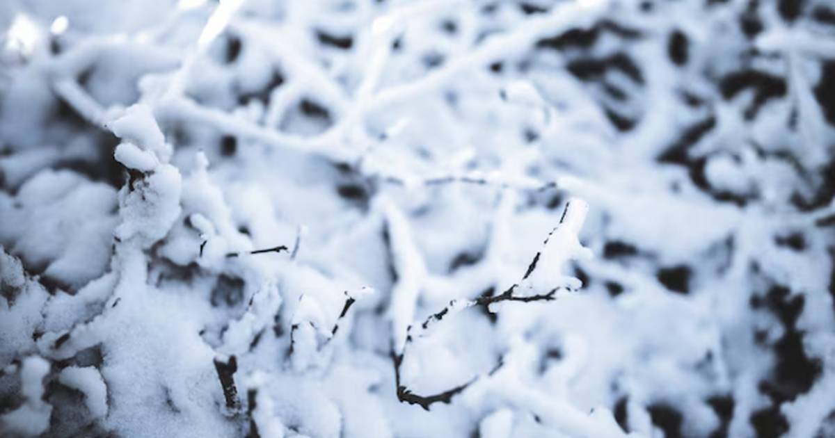 Пока центральная Россия живёт в осеннем режиме,...