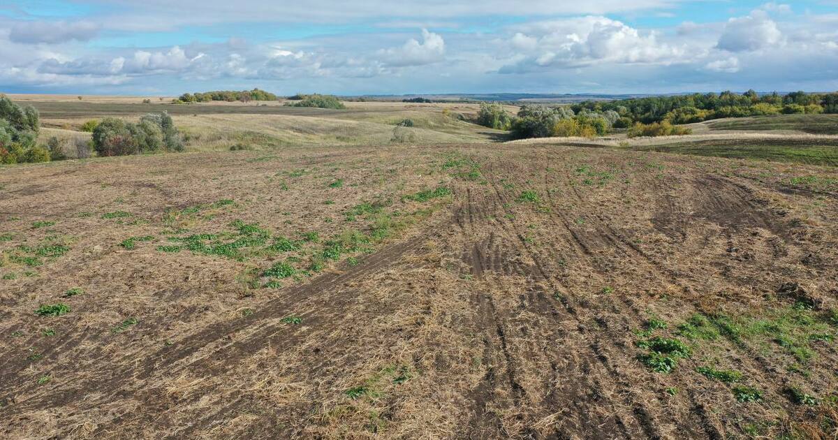 «Надеждинская лесостепь» — уникальный природный...