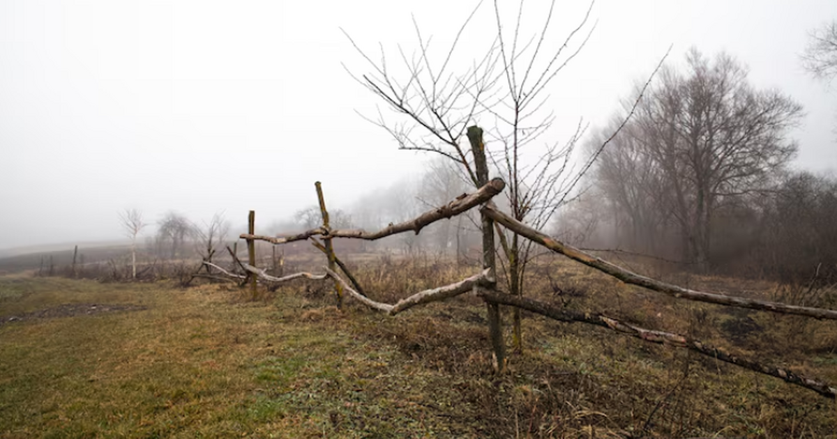 Нейросервис Самарского университета нашёл 95% заброшенных полей Ученые Самарского университета имени Королёва с...