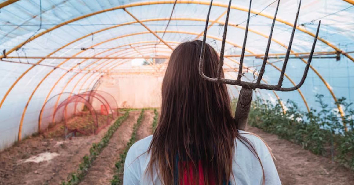 Осенняя подготовка сада: как защитить деревья и кустарники перед грядущей зимой Зимовка определяет здоровье сада и будущий урож...