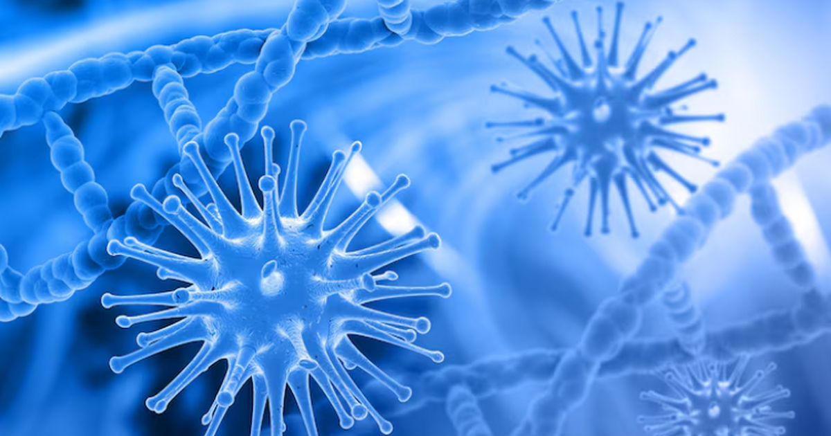 Исследование показало, что бактерия E. faecalis...