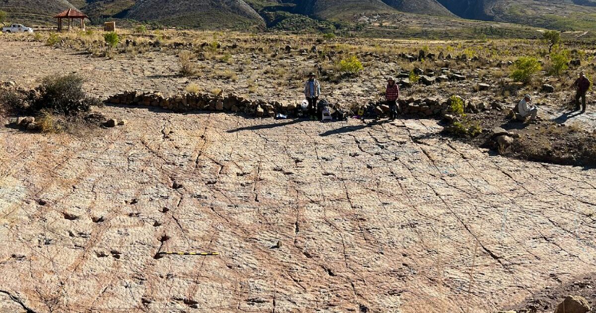 Это место считается самым крупным на Земле собр...