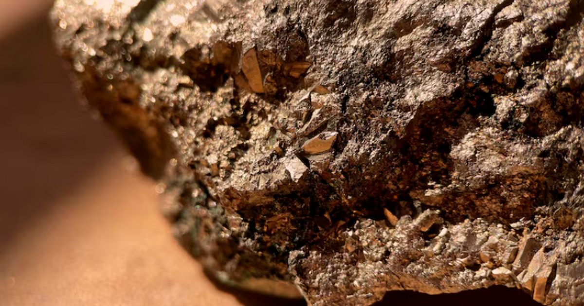 Homo erectus выбирали камни с жеодами и окаменелостями для связи с космосом Исследование Tel Aviv показало, что Homo erectu...