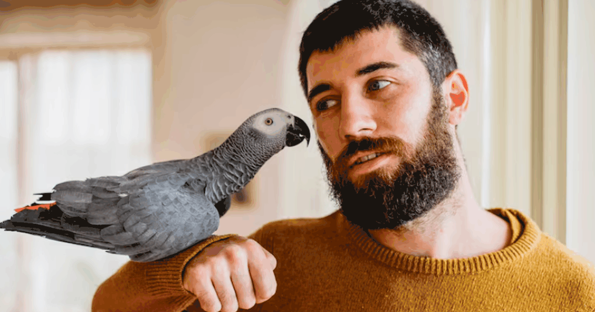 Исследование PLOS One показало, что попугаи спо...