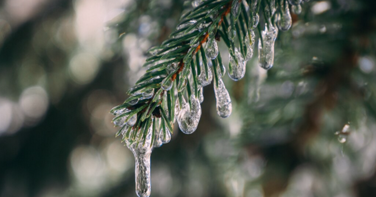 Климат в России «болтает» сильнее обычного. Гло...