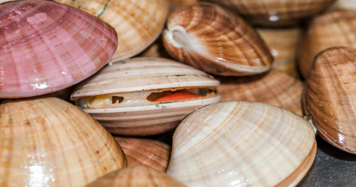 Палеонтологи обнаружили на территории современн...