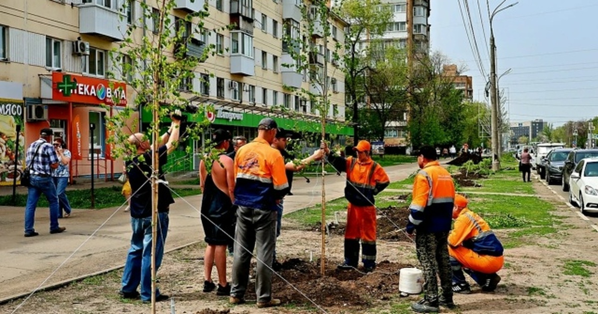 До лета в Самаре планируют высадить около 3 тыс...
