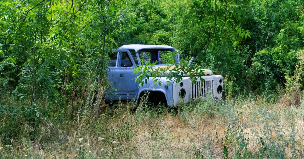 Стрельбицкий рассказал, почему автомобиль нужно...