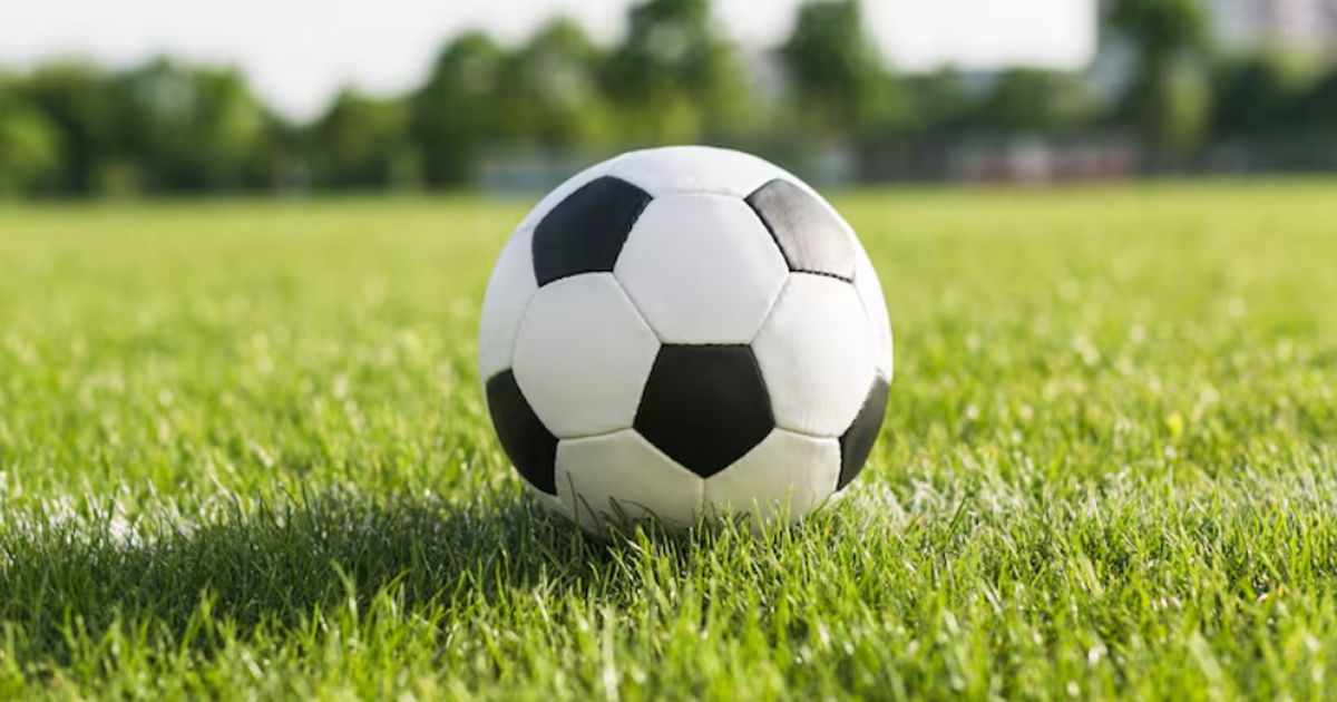 Защитник «Сараево» Ренато Гойкович заявил, что ...