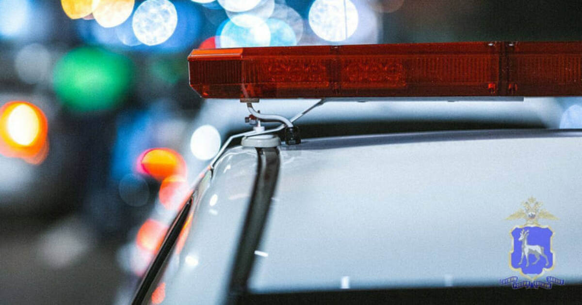 С 11 по 14 июня в Самарской области выявлено св...