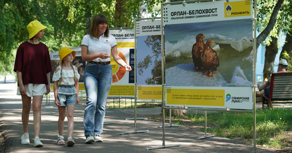 Экспозиция призвана привлечь внимание к проекту...