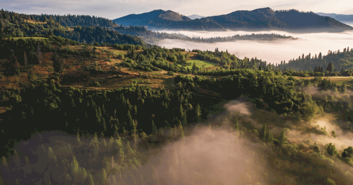Учёные объяснили, как позитивные точки перелома...